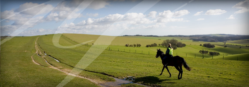 Horse riding in Northumberland